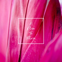 Short edition of an expressive and emotional work.