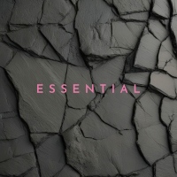 A burst of electronic energy with a steady rhythm and a vibrant atmosphere.