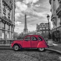 Dynamic, carefree, and full of vitality.