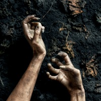 An epic soundtrack that combines strings and mixed choir with synthesizers.