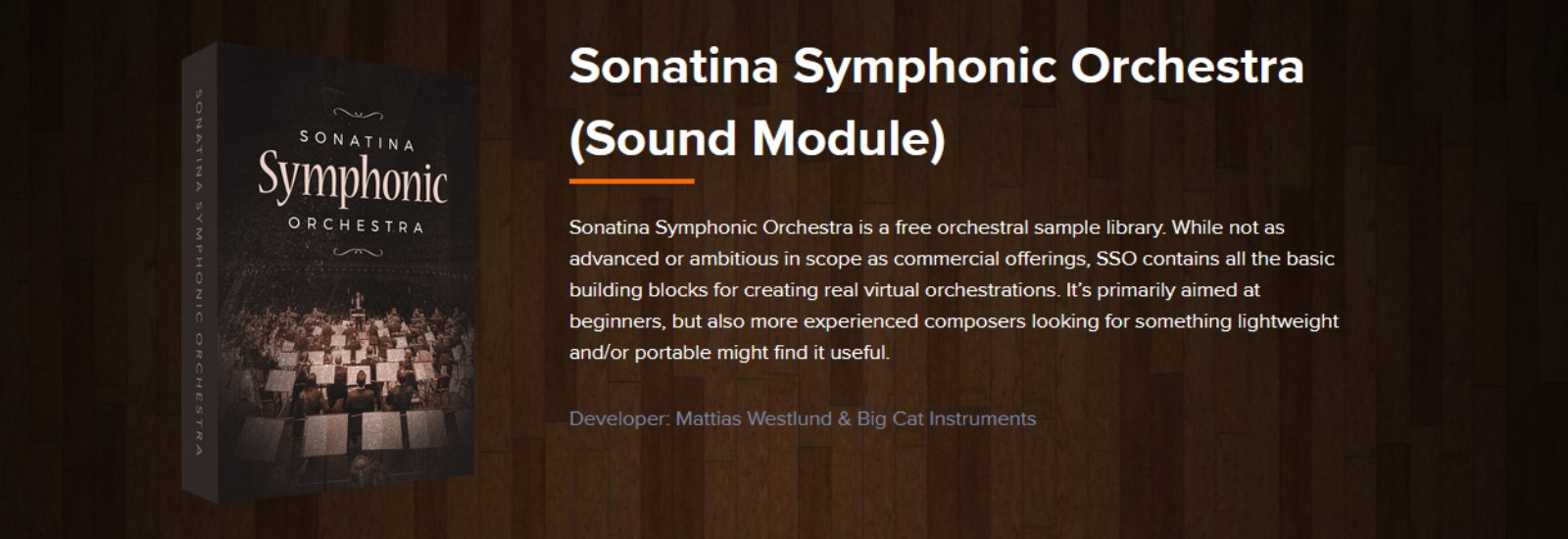 Sonatina Symphonic Orchestra